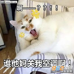 谁他妈关我空调啊表情包来人啊拿朕的冰西瓜来表情包下载乐游网游戏下载