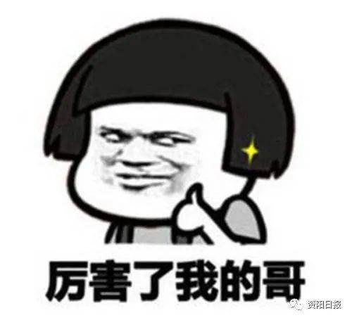 投资22.3亿元资阳将逐步形成氢能源汽车完整产业生态链
