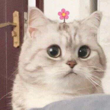 假新闻表情包微笑
