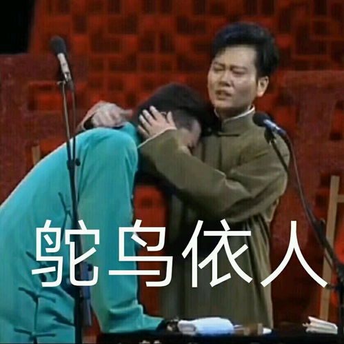 追星女孩的沙雕表情包合集2