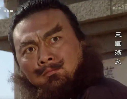 我看三国真的有被张飞萌到,截了几张图真的都是表情包