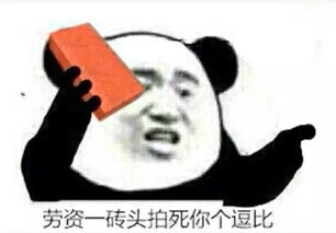 只要技术到位,你要的姿势我都会