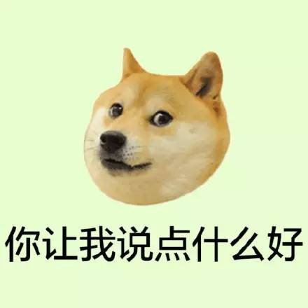 震惊丨网传个旧有人售卖钻山豹你敢信