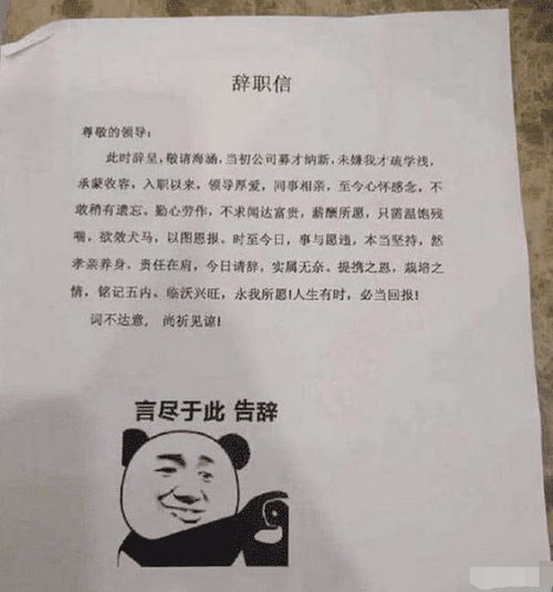 一点点是整个宇宙的表情包辞职信