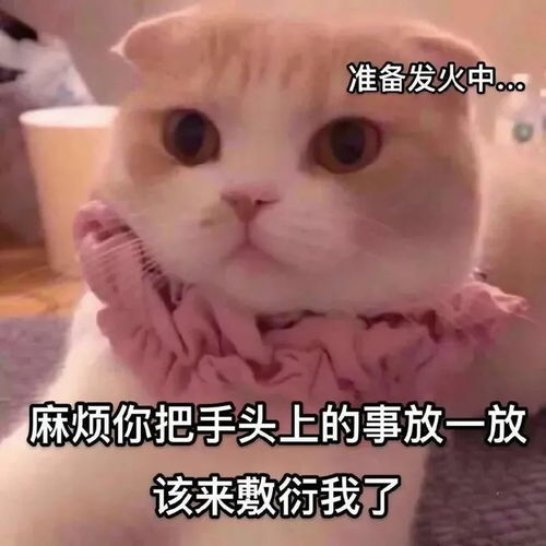 表情包帅哥,5元可以买你的微信号吗