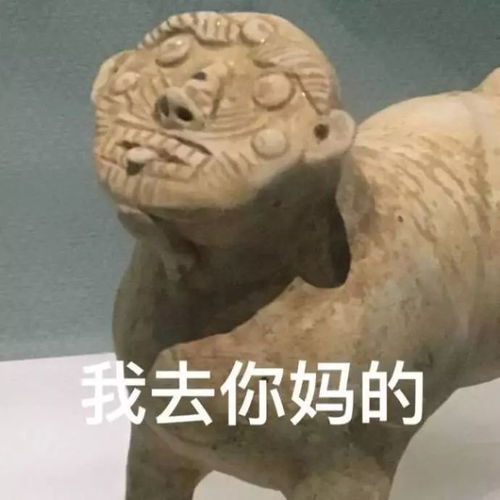 视频怎么做成表情包动图文物