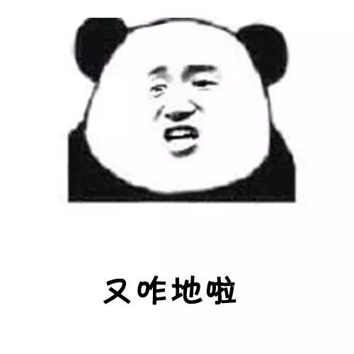 都已最火视频表情包i我们一起学男朋友叫