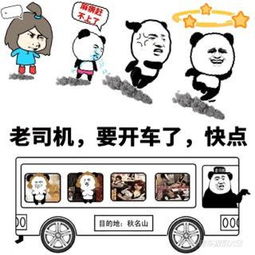 null汽车问答易车