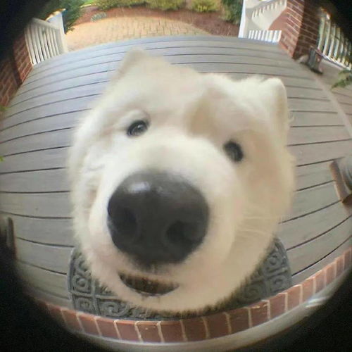 微信头像good