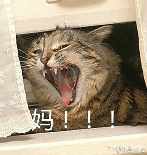 有没有向妈妈撒娇的表情包
