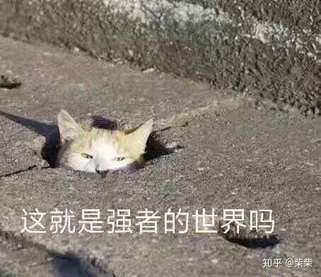 有没有沙雕动图表情包