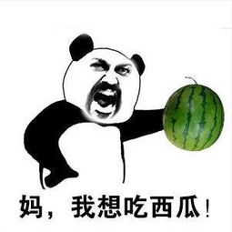 妈妈说真的是同一个世界,同一个妈