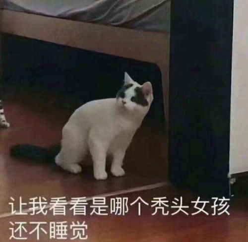 25岁女白领秃顶了,发量只剩三成医生全国1亿3千万人有脱发困扰