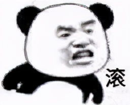 熊猫头暴躁表情包合集臭男人