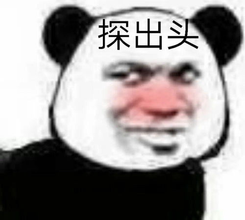 今日份表情包