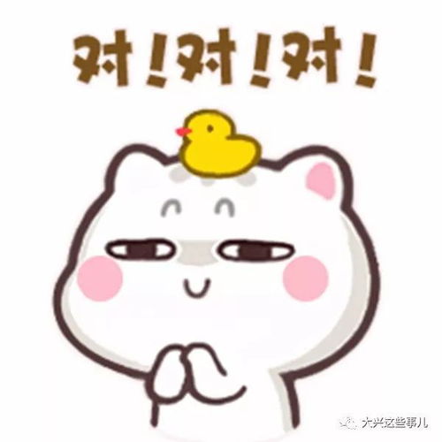 贱萌表情包违约金