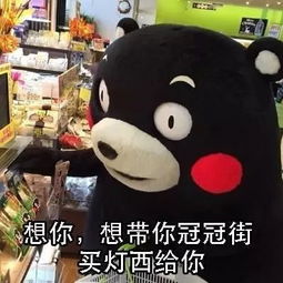 套路表情包男生期待女朋友做哪些事