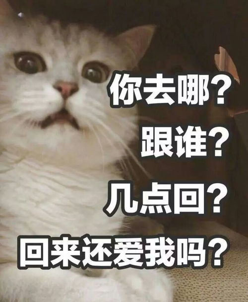 女生有男朋友之后才知道的事情有哪些