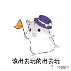 你说的五号线是我以为的那个五号线吗