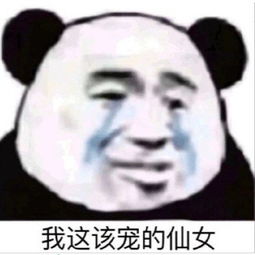 熊猫头聊天表情包有些人表面上争锋相对,暗地里打情骂俏