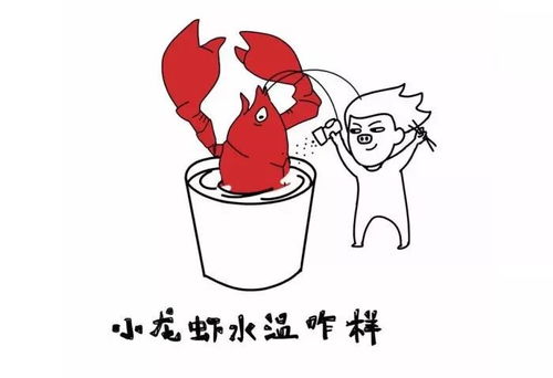 贵阳这家龙虾店6.8折请你吃龙虾啦呼朋唤友来助力还有更多龙虾免费吃