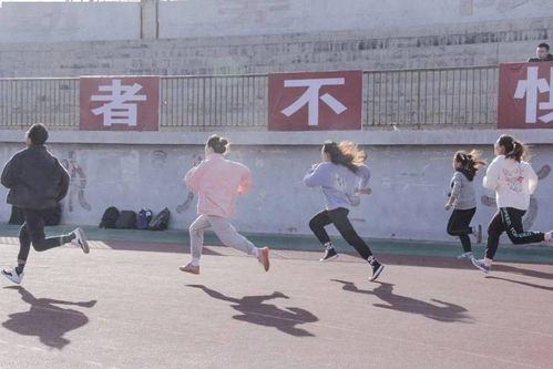 来我康康,你最常用哪款表情包