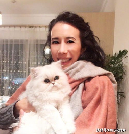 带你参观莫文蔚的豪宅,头一次见在客厅中间做凉亭,面积也太大了