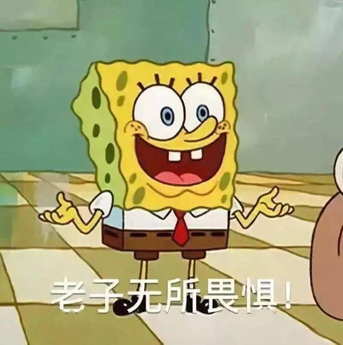 年末突袭在家同事们的家看看有啥宝藏家居好物