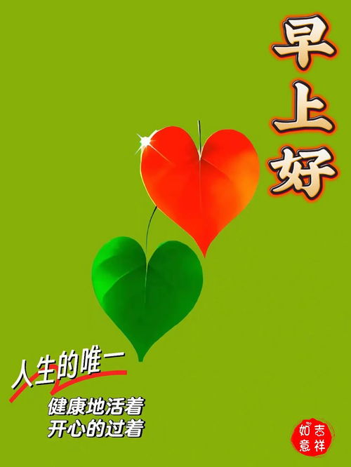 2024年6月20日周四早安图片祝福语,试着不为明天而烦恼,不为昨天而叹息,只为今天更美好周四早安周四早安如花快乐早上好清晨祝福语手机网易网