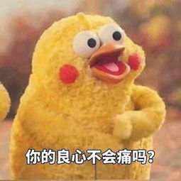 这只小鸡出自哪有表情包吗