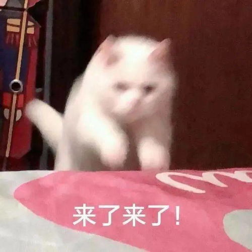 平顶山惠聚鹰城乐享生活第二期电子消费券即将开领