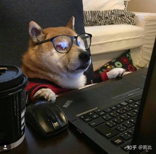 狗头护体表情包新浪微博