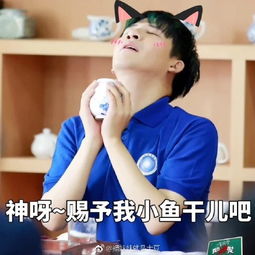 大张伟表情包gif