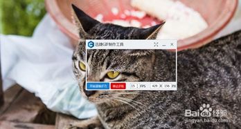 gif表情包制作教程怎么制作有趣的动态图