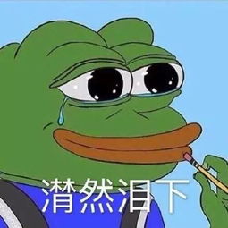 留学行李箱中,你最后悔从中国带过去的是什么