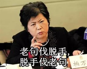柏阿姨生气系列套图出炉和万峰阿庆爷叔并列成上海表情包界三大灵魂人物
