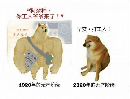 这条当了万年配角的狗,终于打败了doge