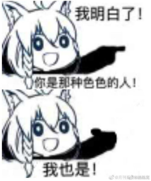 二次元表情包斗图恶搞文字表情包聊天表堆糖,美图壁纸兴趣社区