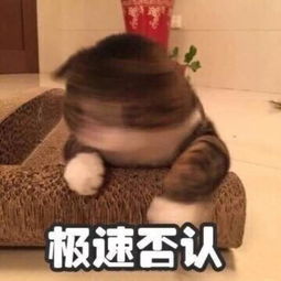 桐谷美玲x三浦翔平6月结婚事实真相却是...