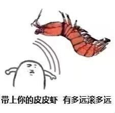 有哪些类似皮皮虾,我们走的表情包