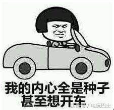 作弊色子表情包酒驾