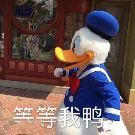 新景点首度开放认识港珠澳大桥的新姿势了解一下
