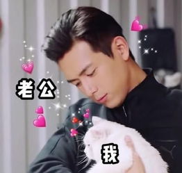 李现表情包喜欢撸猫的韩商言,自带一种反差萌