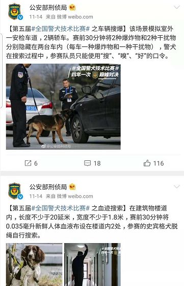 这只贴了创可贴的狗走红网络,连表情包都出了