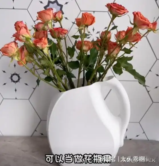 被这些中年阿姨的收纳智慧惊呆了,分文不花,家里就能井井有条