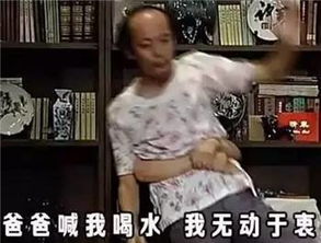 好好学习,不要就知道斗斗斗斗斗斗图