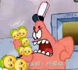 柠檬精专属表情包分享团长收集的都在这儿了