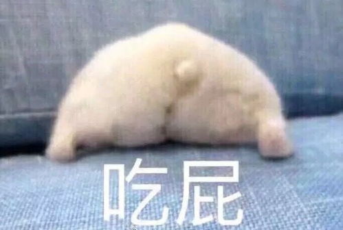 有什么猛男专用的表情包吗