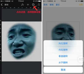 telegram表情包导入微信有用功