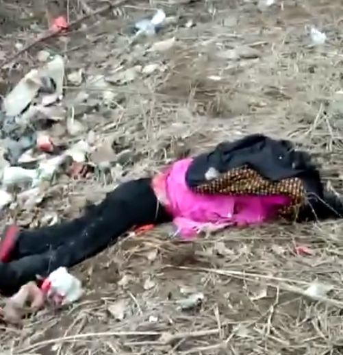 濮阳一女子落水不幸身亡